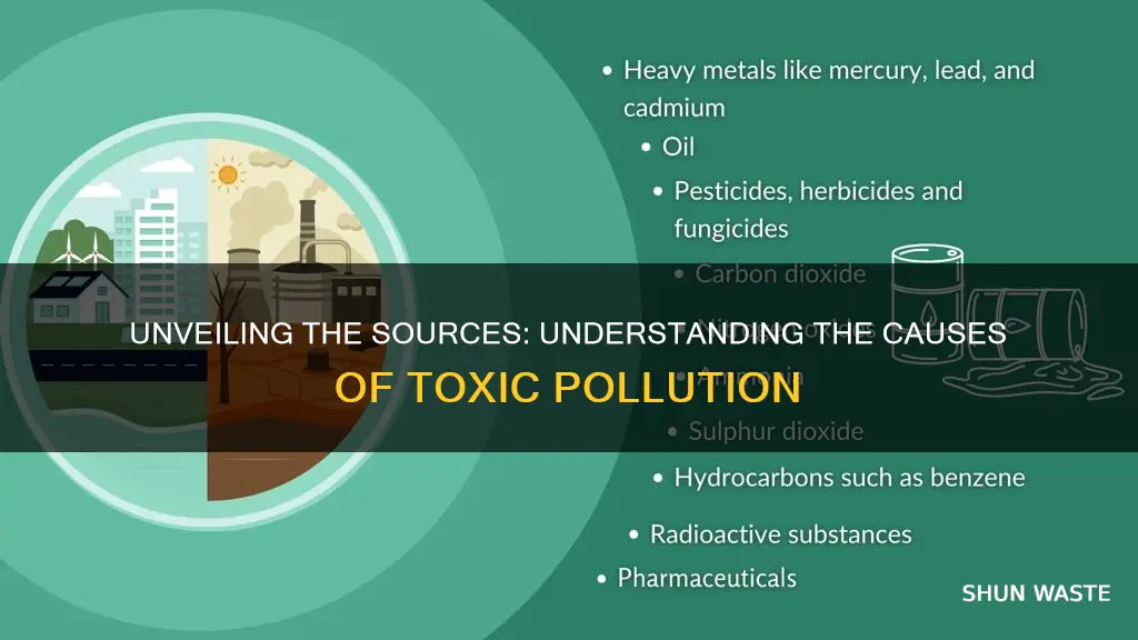 what causes toxic pollution