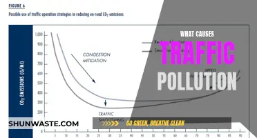 Unveiling the Sources: Understanding Traffic Pollution's Origins