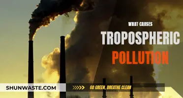 Unveiling the Sources: Understanding Tropospheric Pollution's Origins