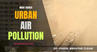 Unveiling the Sources: Understanding Urban Air Pollution