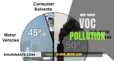 Unveiling the Sources: Understanding VOC Pollution