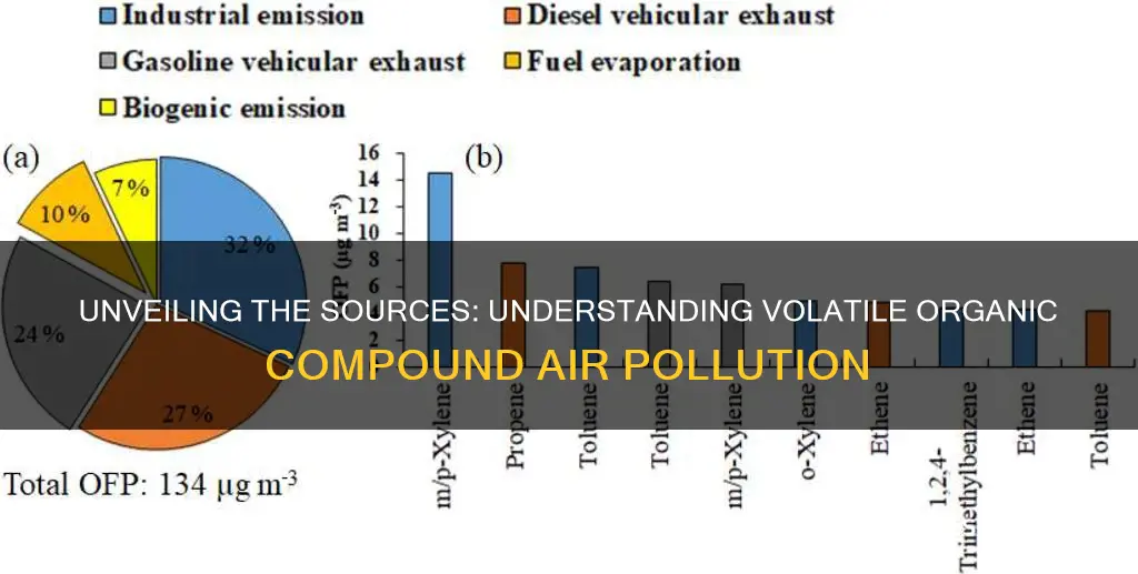 what causes volatile organic compound air pollution