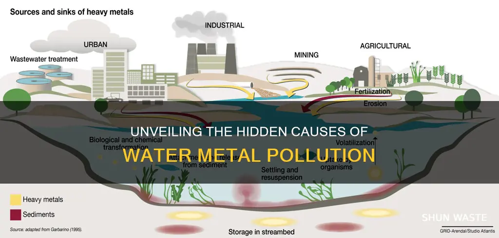 what causes water metal pollution