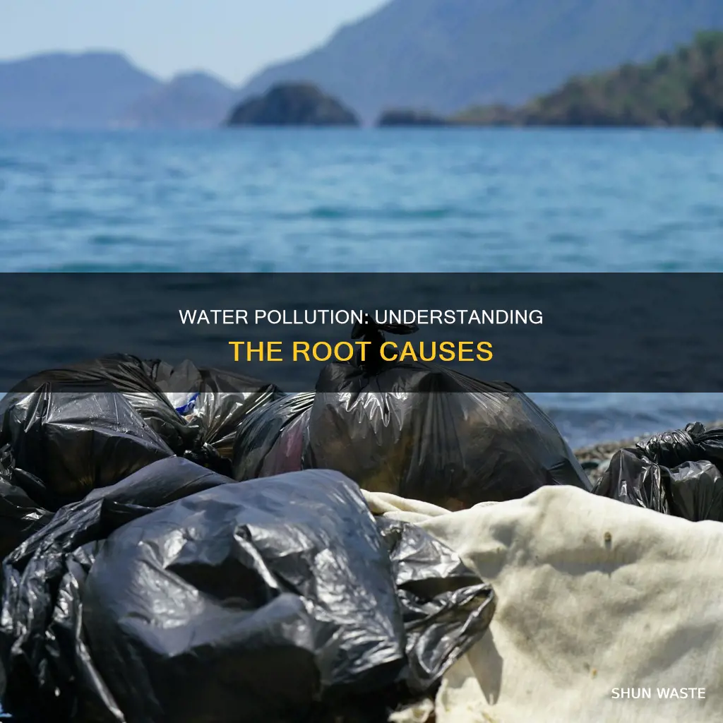 what causes water pollutants