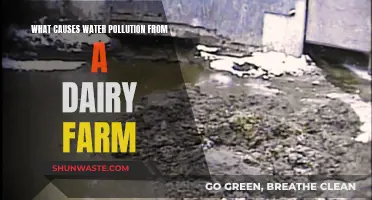 Dairy Farm's Dirty Secret: Unveiling Water Pollution Causes