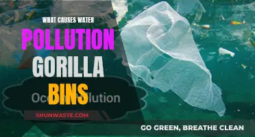 Unveiling the Impact: How Gorilla Bins Contribute to Water Pollution