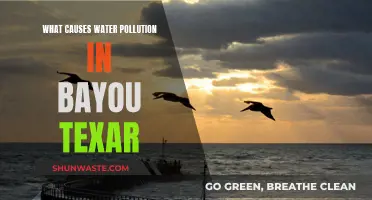 Unveiling Bayou Texar's Water Pollution: Sources and Solutions