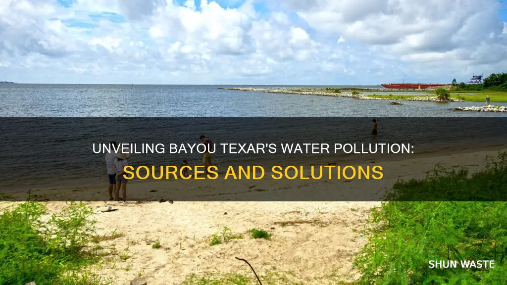 what causes water pollution in bayou texar