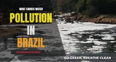 Unveiling Brazil's Water Woes: Sources of Pollution Revealed