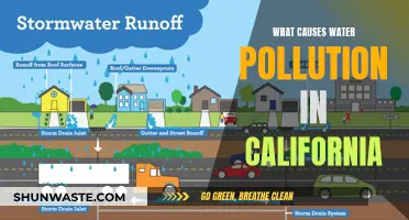 Unveiling California's Water Woes: Sources of Pollution Revealed