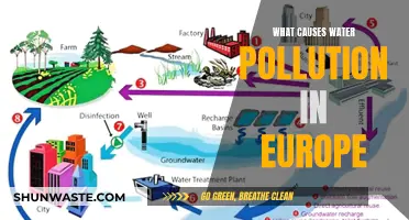 Unveiling Europe's Water Woes: Sources of Pollution Revealed