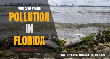 Unveiling Florida's Water Woes: Sources of Pollution Revealed