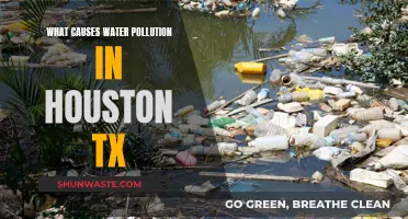 Houston's Hidden Water Woes: Unveiling the Causes of Pollution