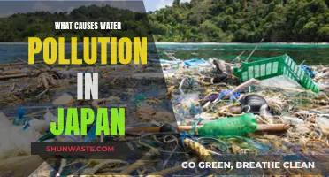 Japan's Water Woes: Unveiling the Sources of Pollution