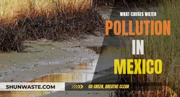 Mexico's Water Crisis: Unveiling the Sources of Pollution