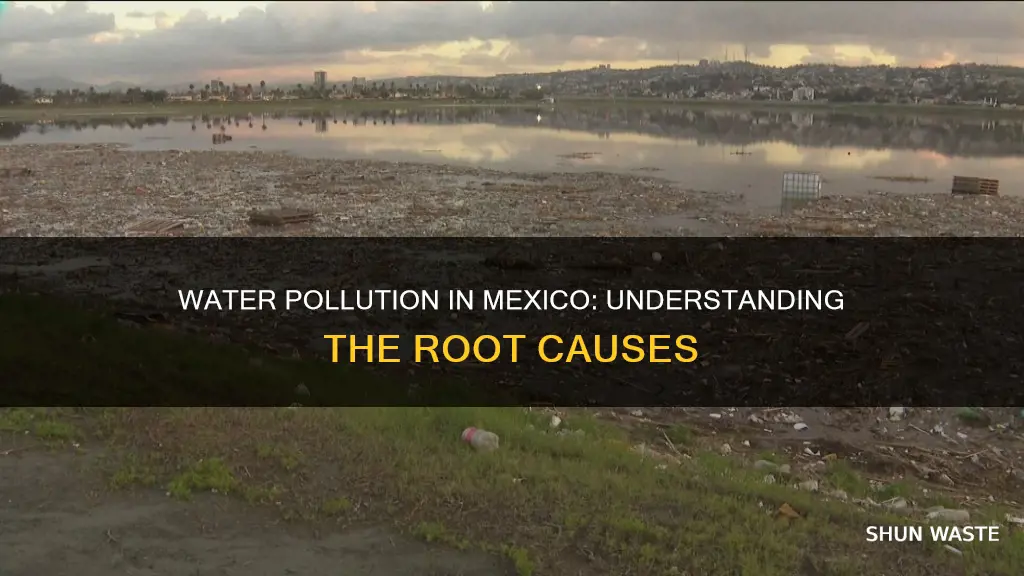what causes water pollution in mexico