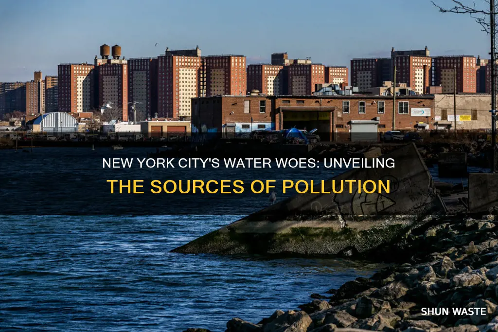 what causes water pollution in new york city