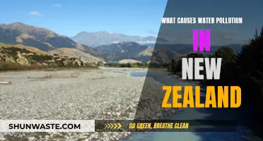 New Zealand's Waterways: Uncovering the Hidden Sources of Pollution