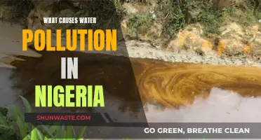 Unveiling Nigeria's Water Woes: Sources of Pollution Revealed