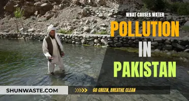 Unveiling Pakistan's Water Crisis: Sources of Pollution Revealed