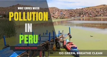 Peru's Water Woes: Uncovering the Sources of Pollution