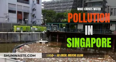 Singapore's Water Woes: Uncovering the Sources of Pollution