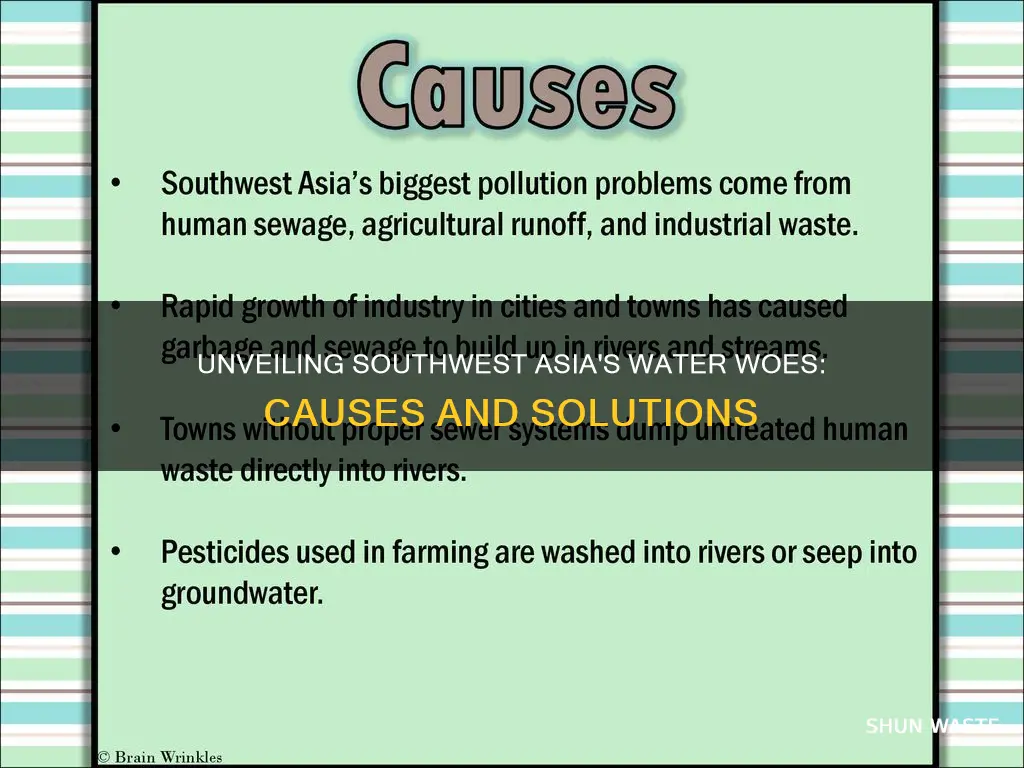 what causes water pollution in southwest asia