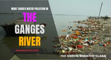 Unveiling the Ganges' Dark Secret: Unraveling Water Pollution Causes