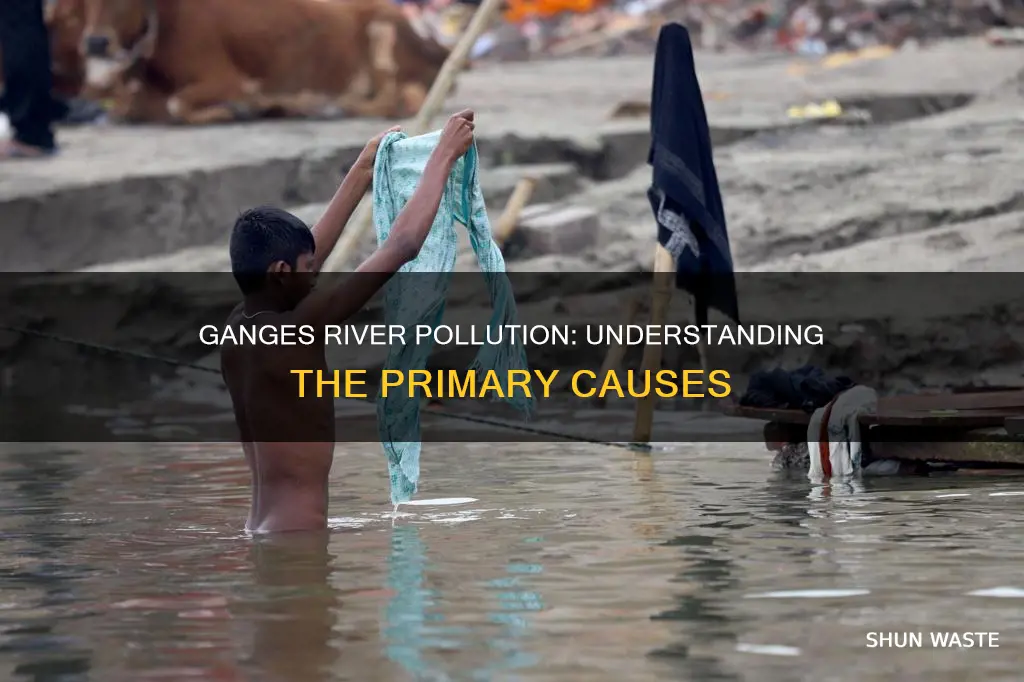 what causes water pollution in the ganges river