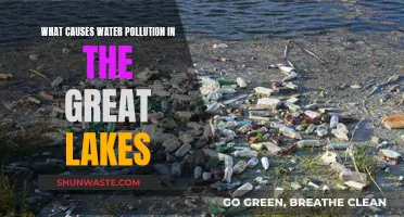 Unveiling the Sources: Understanding Water Pollution in the Great Lakes