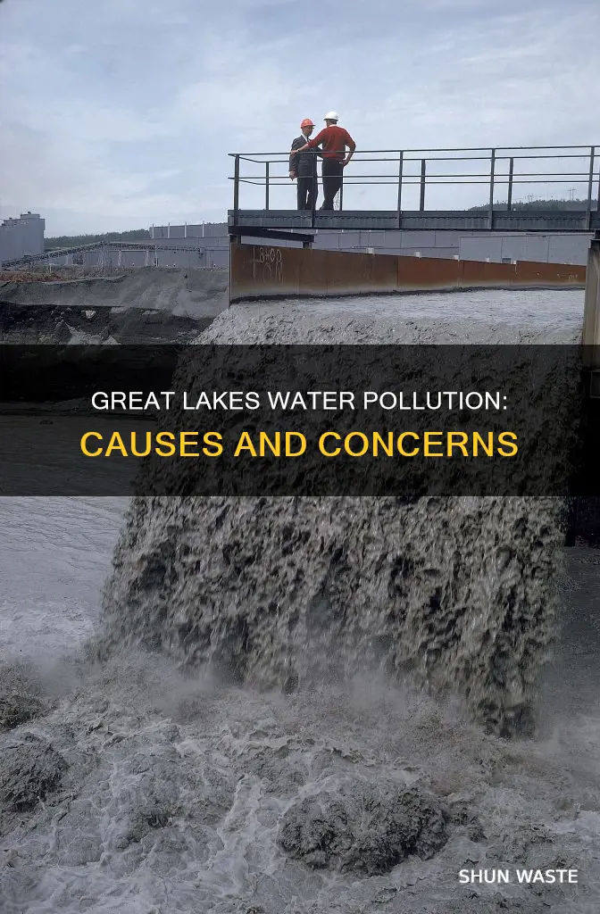 what causes water pollution in the great lakes