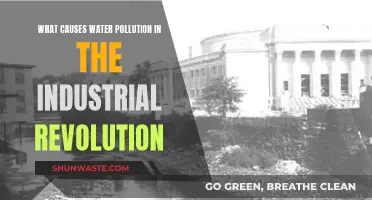 Industrial Revolution's Legacy: Unveiling Water Pollution's Hidden Causes