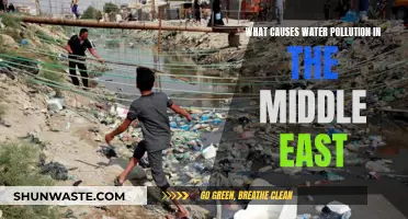 Unveiling the Middle East's Water Pollution Crisis: Causes and Solutions