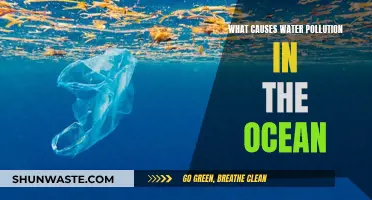 Ocean's Plight: Unveiling the Culprits Behind Water Pollution