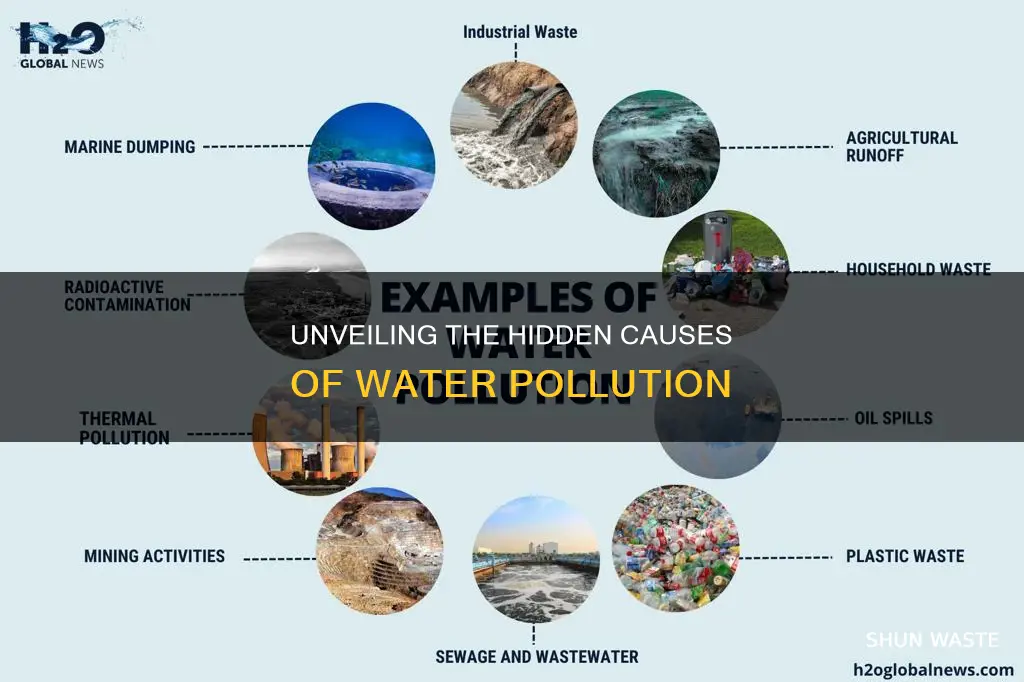 what causes water to become polluted