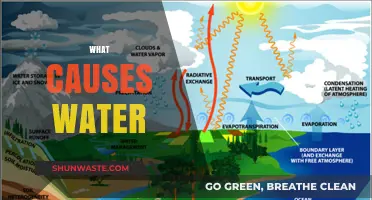 Unveiling the Origins: What Causes Water?