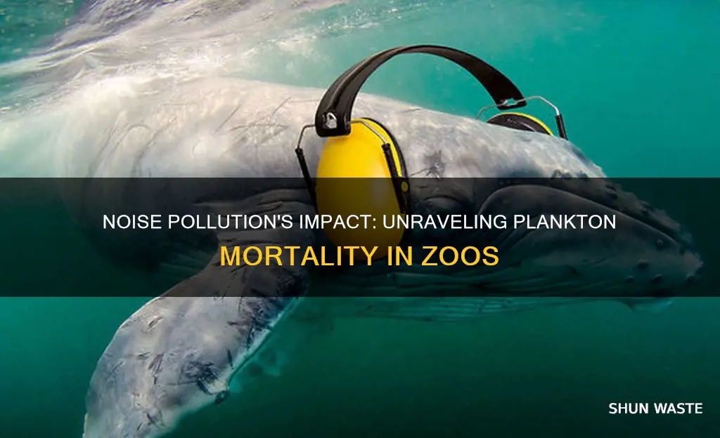 what causes zoo plankton to die in noise pollution