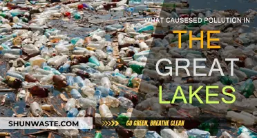 Industrial Legacy: Polluting the Great Lakes