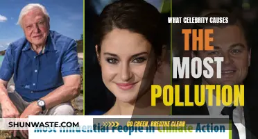 Unveiling the Green-Washing: Which Celebrity's Actions Cause the Most Pollution?