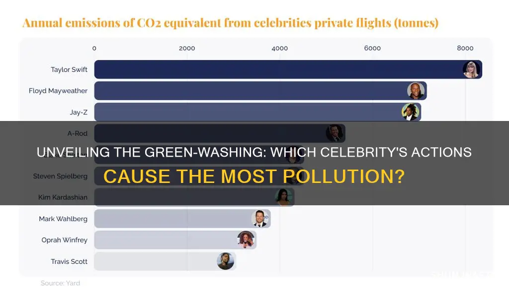 what celebrity causes the most pollution