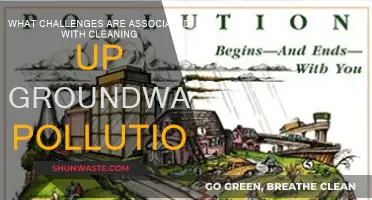 Groundwater Pollution: Cleaning Challenges and Complexities