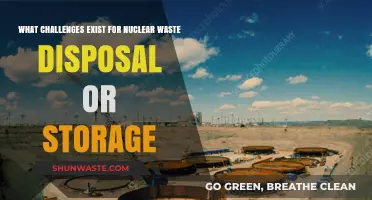 The Complex Dilemma of Nuclear Waste: Storage and Disposal Challenges