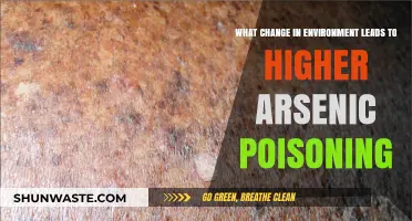 Environmental Shifts Increasing Arsenic Poisoning: Causes and Consequences