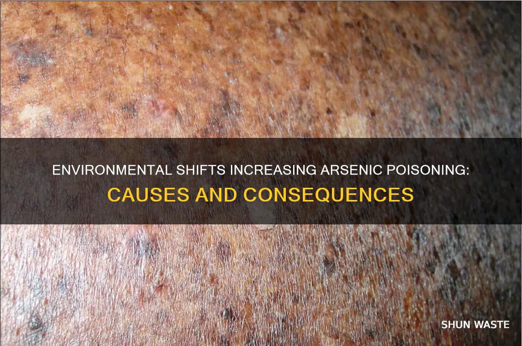 what change in environment leads to higher arsenic poisoning