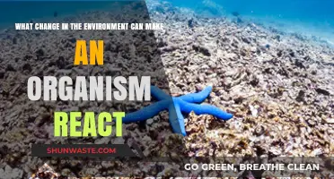Environmental Shifts: How Organisms React to Changing Surroundings