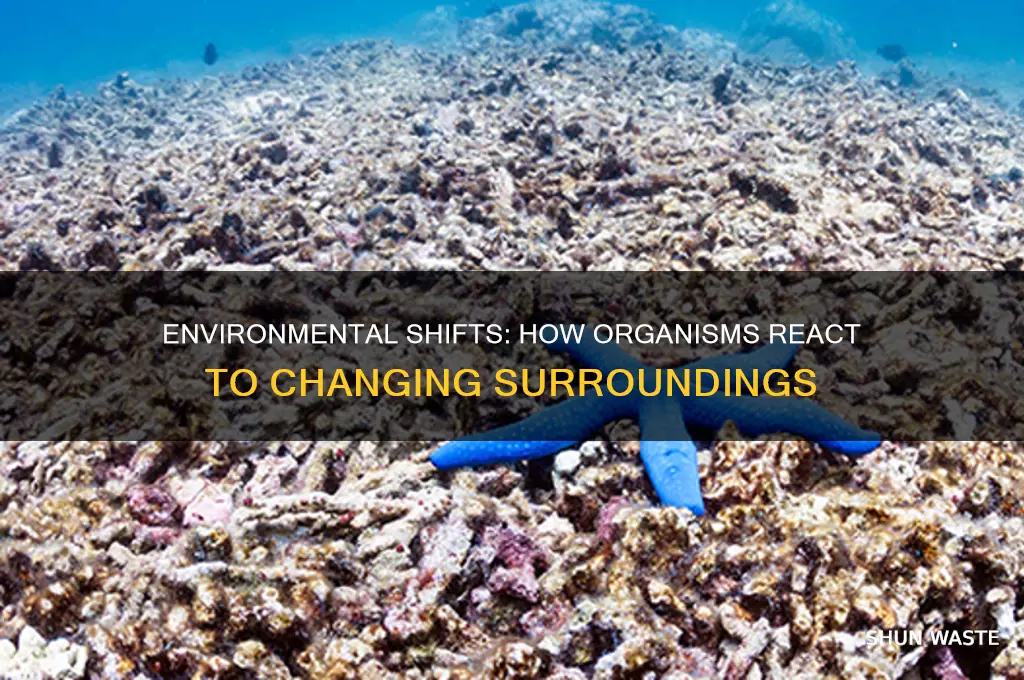 what change in the environment can make an organism react