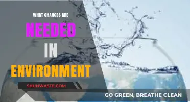 Transforming Our Planet: Key Environmental Changes Needed for a Sustainable Future