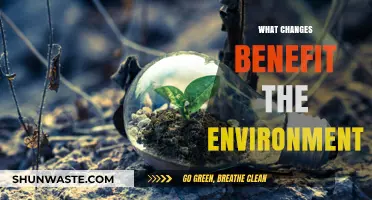 Sustainable Living: Simple Changes for a Greener, Healthier Planet