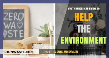 Sustainable Living: Simple Eco-Friendly Changes to Protect Our Planet