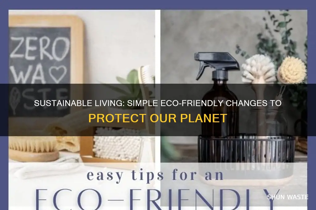 what changes can i make to help the environment